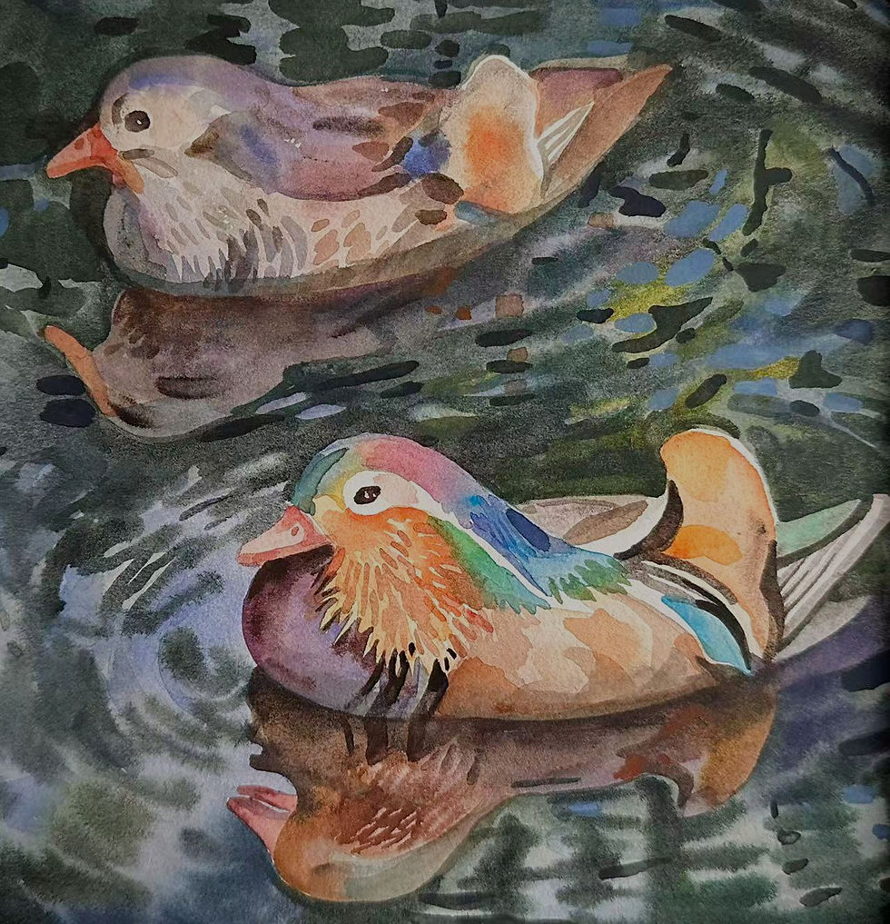 周素材示范图 水彩 关向