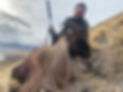 Bull Tahr Hunting New Zealand 