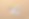 logo_main_sp.png