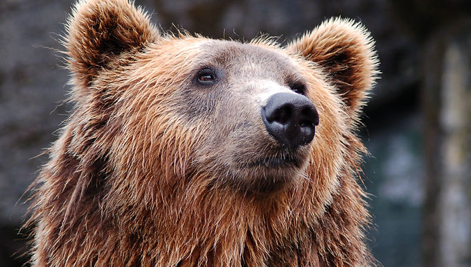 Market Update Fall 2022