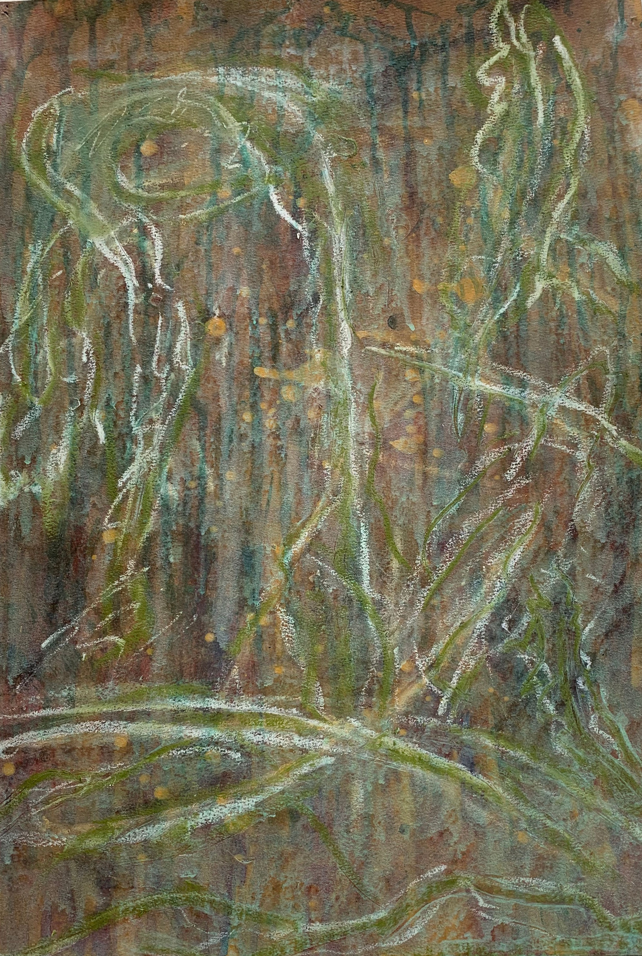 FORMOASAN DREAM #  12