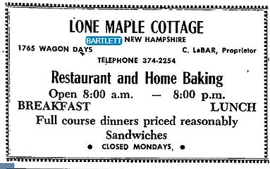 Lone Maple - Carrie Labar 1963.jpg