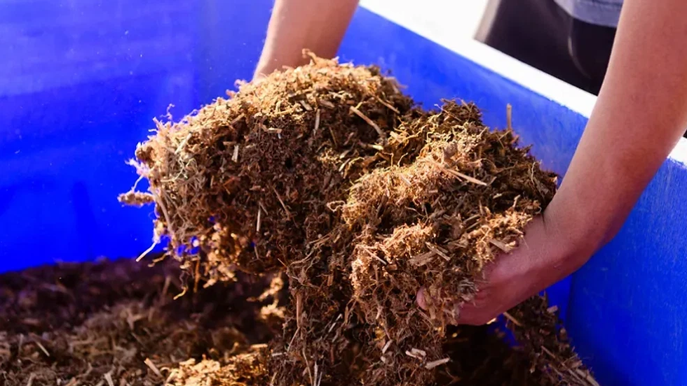 Texas hemp processors handle raw hemp biomass. Growers warn that banning all THC content (even trace amounts) would make it impossible to produce hemp products and “deliver a death blow” to their industry texastribune.org.