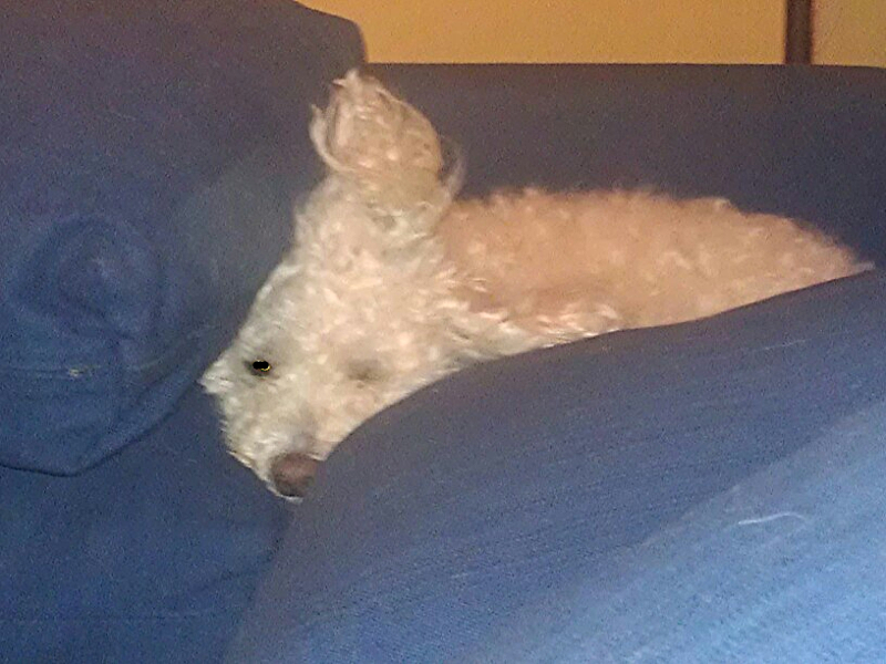 Maggy Hiding