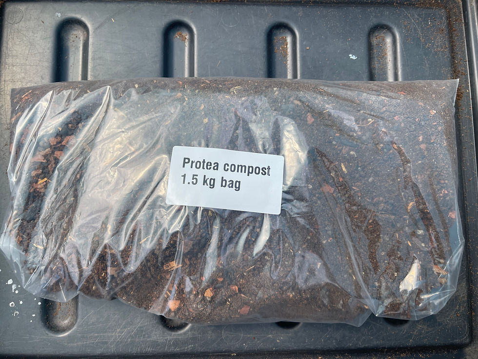 Thumbnail: Protea compost 1.5 kg bag