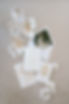 DSC_2412-2.jpg