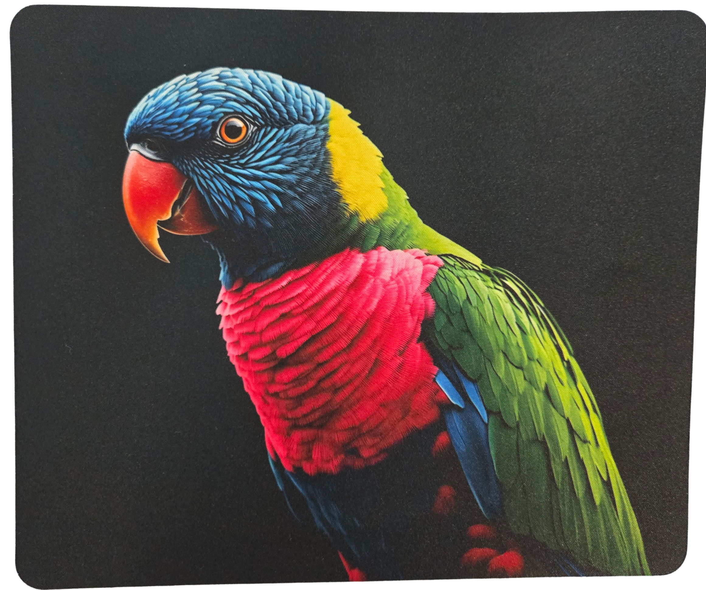Gorgeous Colourful Lorikeet on black background - mousepad - 5mm