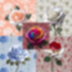 Digital paper bundle featuring single roses with matching color backgrounds