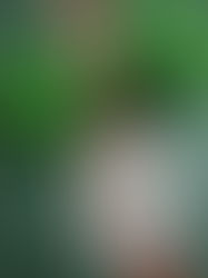 Zeit für Superhelden - Kinderturnen absolviert Superhelden-Training