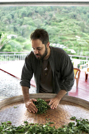 Nadi tea