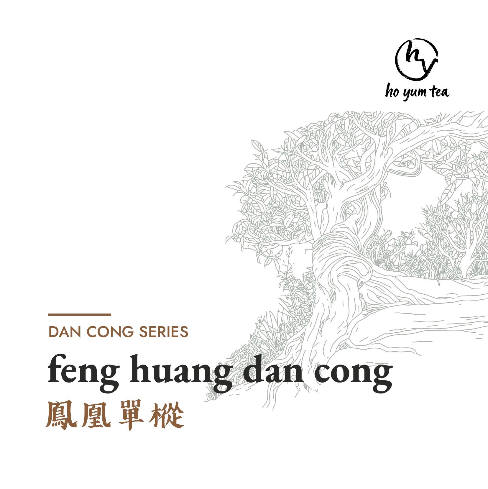 dan cong oolong tea tea sampler