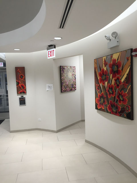 Gallery installation at The Woman's Health Institute