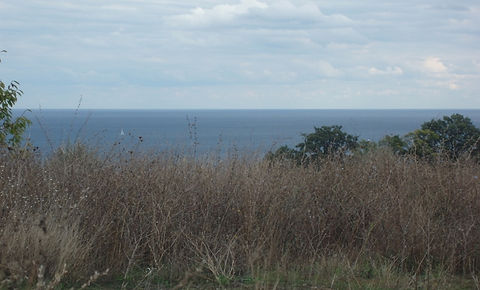 Outlook looking left of plot
