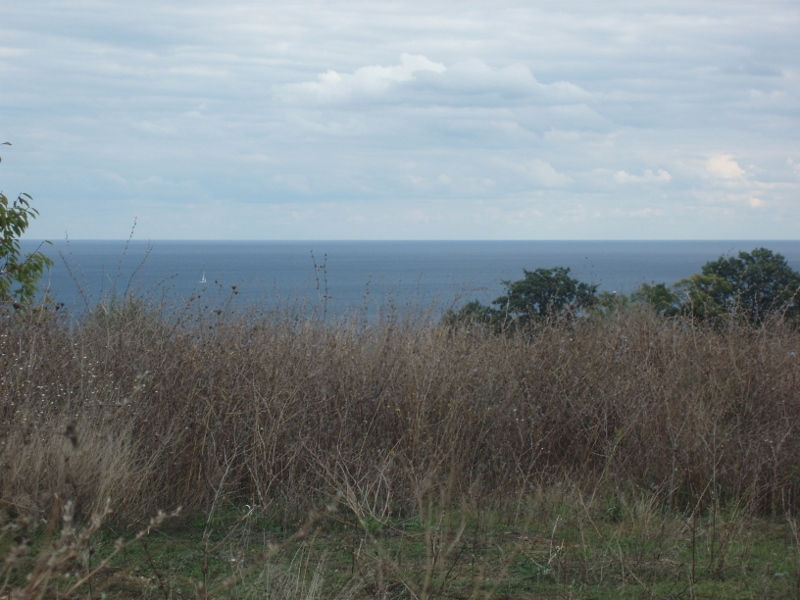 Outlook looking left of plot