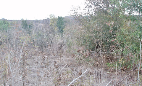 Part of Plot