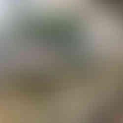 frente de uma sala de estar com envidraçamento de sacada