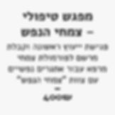 מפגש טיפולי עם צוות צמחי הנפש