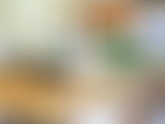 राजस्थान में लॉकडाउन फेज- 4 की गाइडलाइन