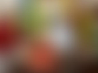 श्रीराम मंदिर समिति ने किया भोजन वितरण कार्य का समापन