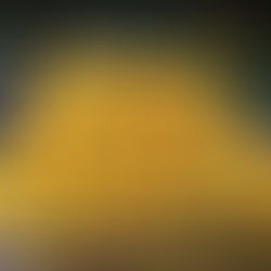 जानलेवा साबित हो सकता है बाजार से खरीद कर लाया गया पका आम