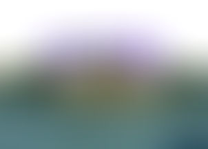 कोटा,विभिन्न थाना क्षेत्रों में कर्फ्यू की निषेधाज्ञा लागू