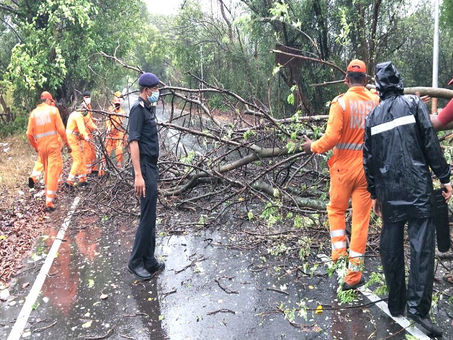 खनन माफिया ने गार्ड पर चढ़ाया ट्रेक्टर, सरिस्का बॉर्डर गार्ड की मौत