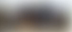 जयपुर से छत्तीसगढ़ जा रही यात्रियों से भरी बस पलटी, कई घायल