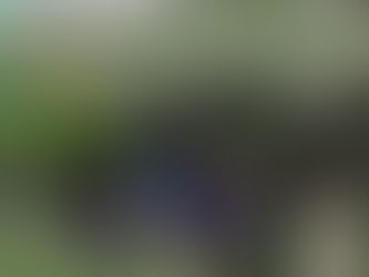 Updates:तबाही मचा रहा अम्फान तूफान, 4 लोगों की मौत