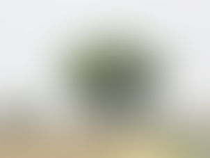 46.9 डिग्री तापमान के साथ गंगानगर सबसे गर्म, चूरू में 46.6, जयपुर में 44.1, कोटा में 45.0