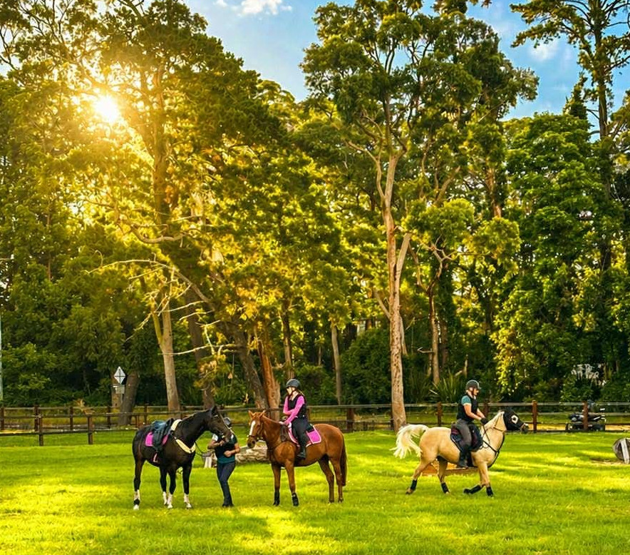 riders and horses training