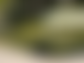 Beachfront Bliss at Fourseasons Fort Lauderdale