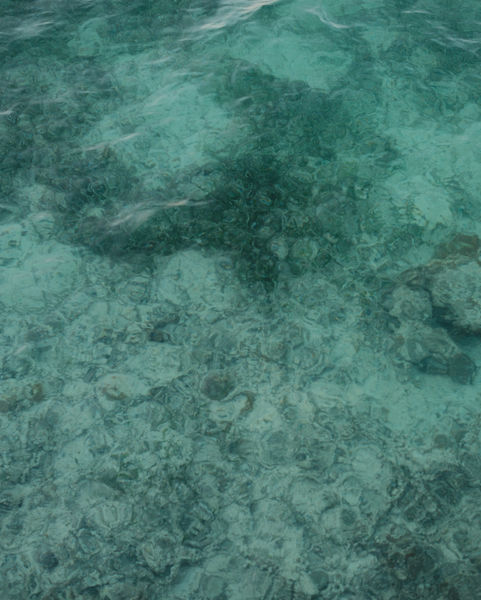 DSCF1679