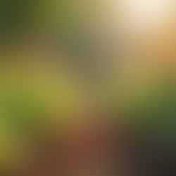 Discover Our Leadership and Service Projects This Season