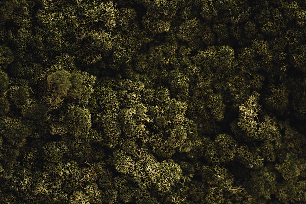 Mayerhofer Stuhlfelden | Über uns