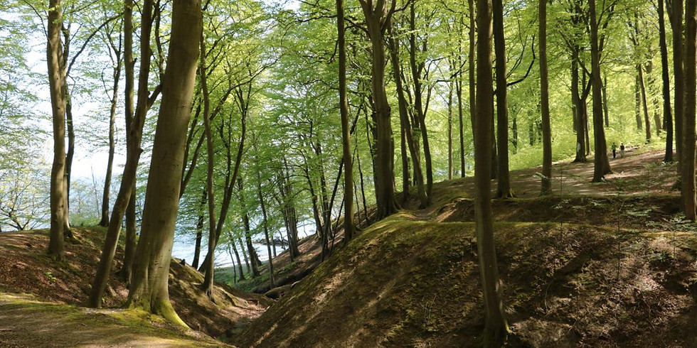 Mountainbiketur i Marselisborgskoven