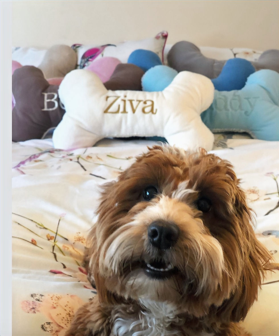 Thumbnail: Personalised Snuggle Cushion