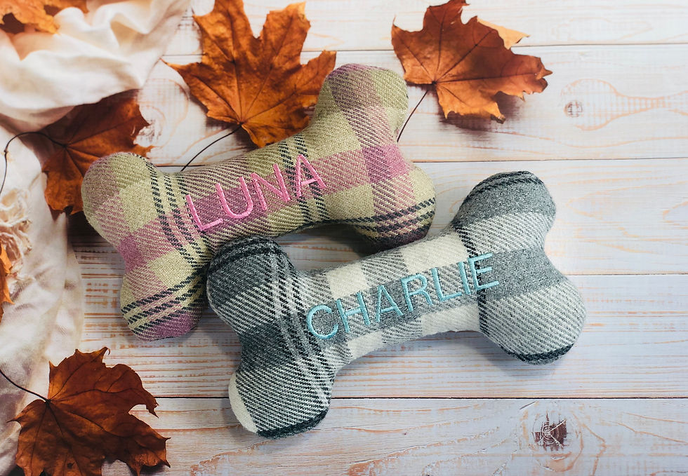 Thumbnail: Personalised Squeaky Bone