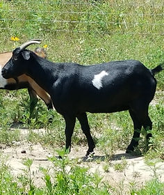 20190713_134746.jpg