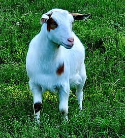 Muriel Picture.jpg