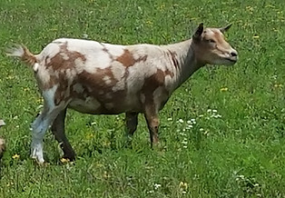 20190713_133915.jpg