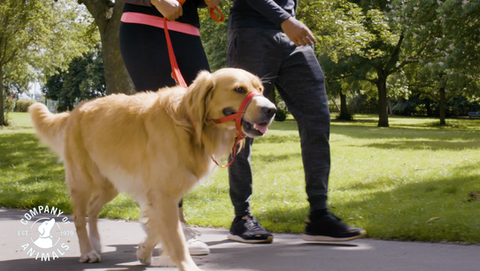 Screenshot 2022-02-01 at 10.09.57.png