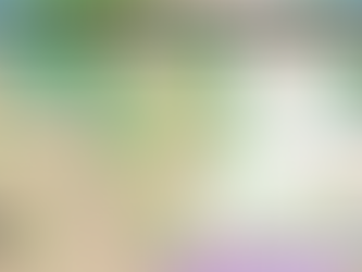 Windy/Sunny - High 75