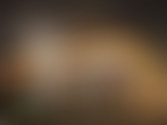 New Board Member To the Max 