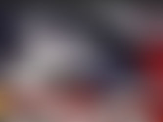 Veterans Day ...Thank You!