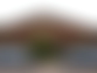 Former Pearl Police Officer Pleads Guilty to Civil Rights Offense