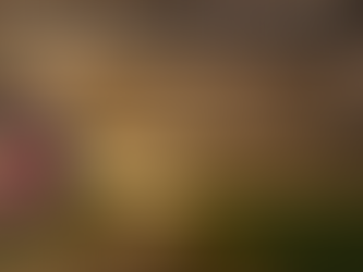 Storm Claims Life in Scott County-Name Released