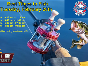 Best Times To Fish