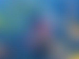 Best Times To Fish Today 