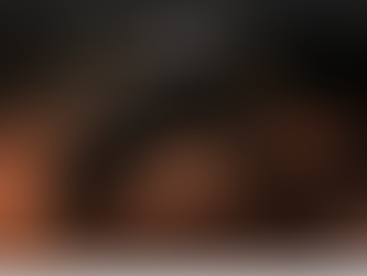 Accidental Shooting at Meridian Training Facility.