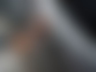 Arrest Made - Neshoba Car Burglaries